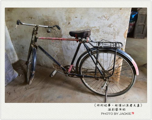 自行车小故事中文