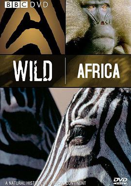 非洲美女与野兽性交视频